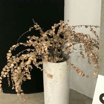 兽设天空场景设计兽圈社群